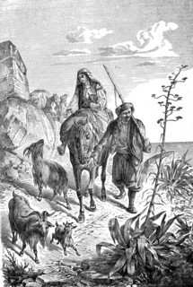 Bauern Aus Dalmatien