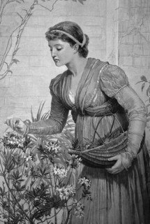 Woman Picks Flowers In Her Garden And Carefully Lays The Flowers In A Basket