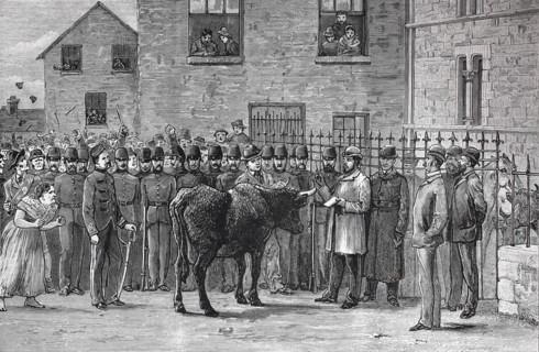 The Land Agitation In Ireland: At Sligo Court-House