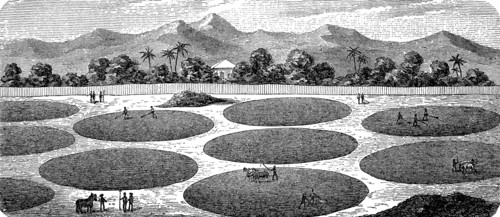 Production Of Silver