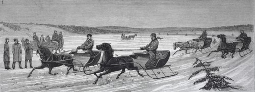 Winter Sports At Halifax
