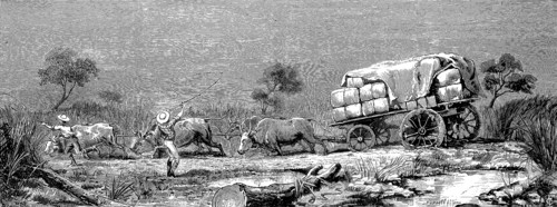 The War In The Transvaal