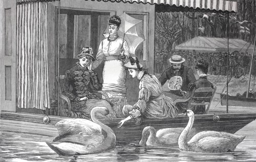 Family Feeding The Swans In The Park
