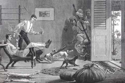 Dogs Attack Burglars