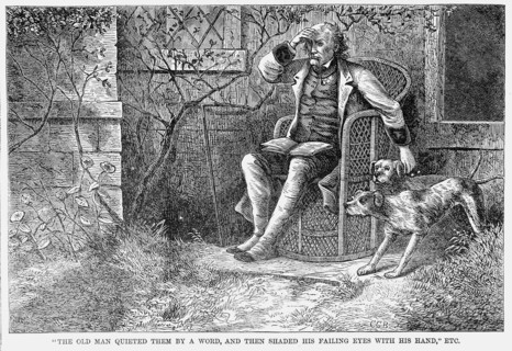 Gleason's Pictorial Drawing Room Companion