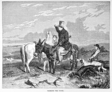 Gleason's Pictorial Drawing Room Companion