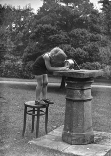 Glass Negative circa 1920
