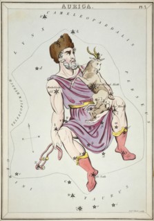 Auriga