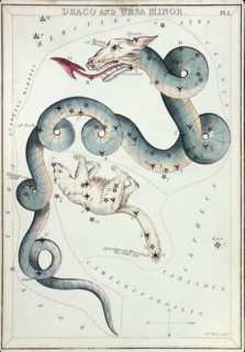 Draco and Ursa Minor
