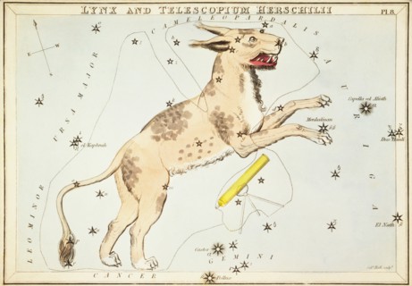 Lynx and Telescopium Herschilii