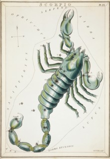 Scorpio