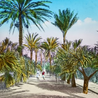 Magic Lantern slide circa 1900 hand coloured