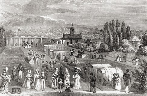 Zoological Gardens