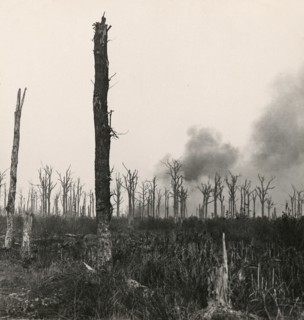 Stereoview WW1