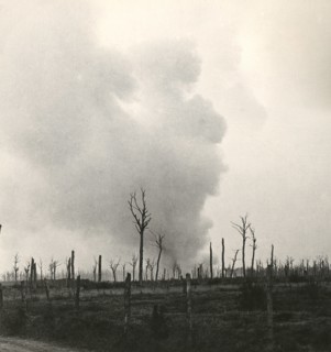 Stereoview WW1