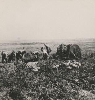 Stereoview WW1