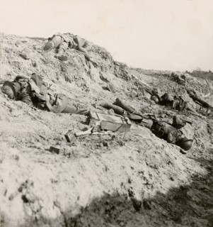 Stereoview WW1