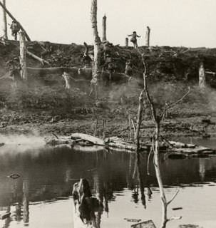 Stereoview WW1