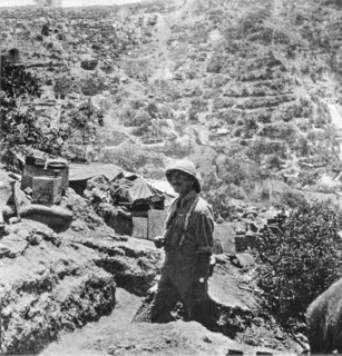 Stereoview WW1