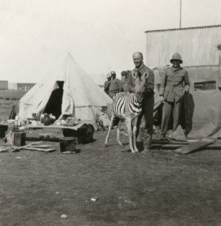 Stereoview WW1