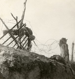 Stereoview WW1