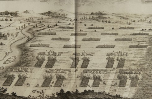History by Polybius, Volume I