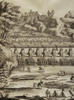 History by Polybius, Volume II