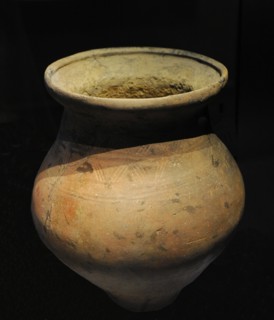 Urnfield Culture, Cinerary Urn