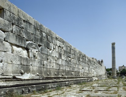 Turkey, Didyma