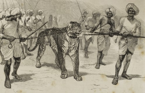 Journey of the Prince of Wales (1841-1910) to India