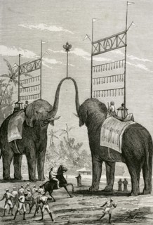 Journey of the Prince of Wales (1841-1910) to India