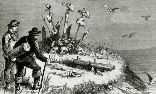 Swedish expedition to Arctic Pole