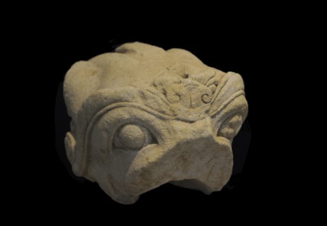 Griffin head