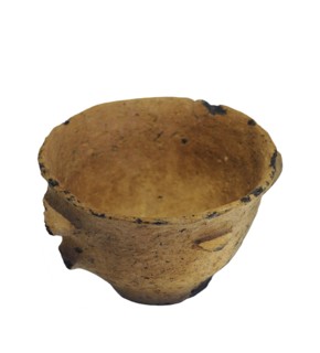 Cup