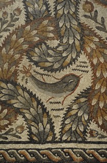 Plant mosaic