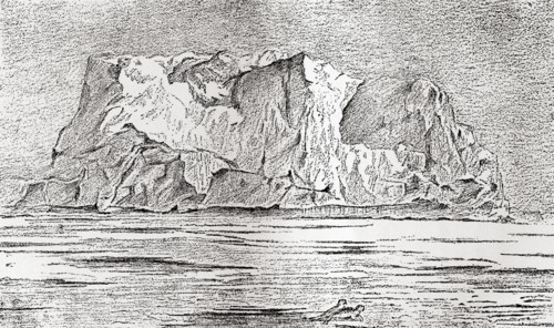 A floating iceberg