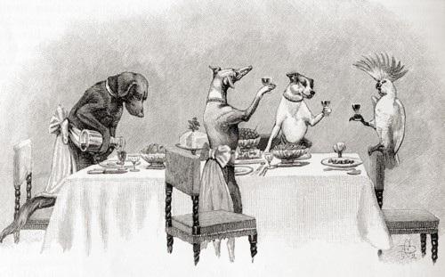 Three dogs and a cockatoo having a dinner party