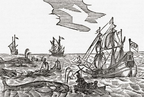 Whaling