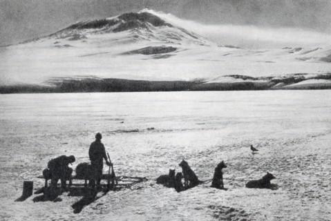 Dog sledge, showing Mount Erebus in the background,,