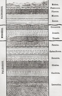 A chart of strata, layers of sedimentary rock or soil,,