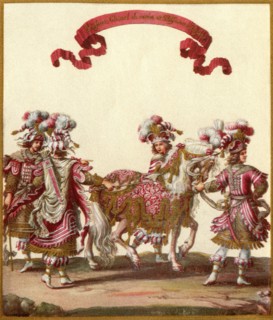 Persian domestic grooms
