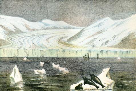 A glacier in Greenland