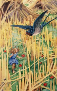 The little swallow was flying past'