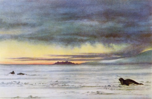 Looking north in McMurdo Sound, Antarctica,,