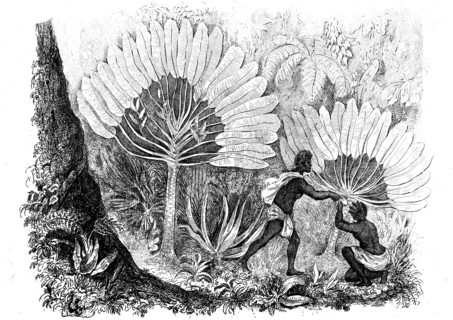 Madagascar