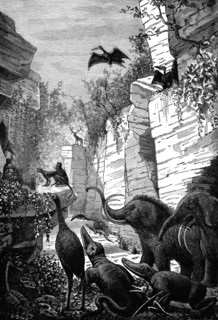 Prehistoric world