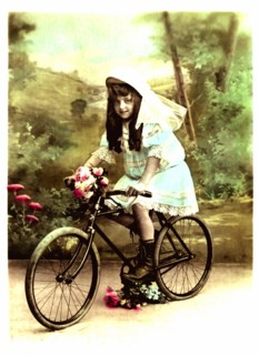 The bicycle