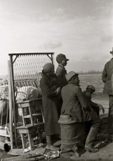 African American Evicted sharecroppers along Highway 60, New Madrid County, Missouri