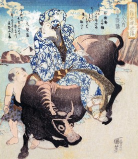 Riding on  Buffalo