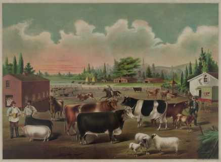 Butcher's Delight